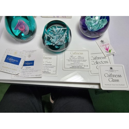426 - 3 x boxed caithness limited edition paperweights with all paperwork including, saladin 1997, floral ... 