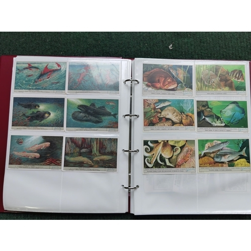 280 - Large quantity Vintage Liebig collectable trade cards on Sealife, insects, butterflies etc. Album is... 