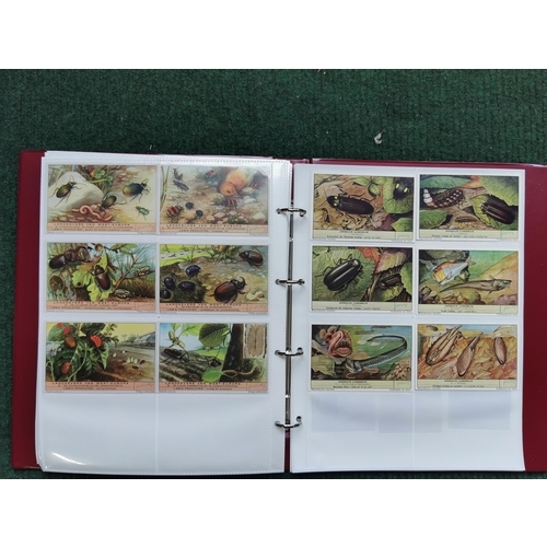 280 - Large quantity Vintage Liebig collectable trade cards on Sealife, insects, butterflies etc. Album is... 