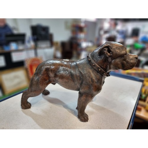 294 - Large impressive cold cast resin bronze Staffordshire bull terrier dog figuring, a mixture of bronze... 