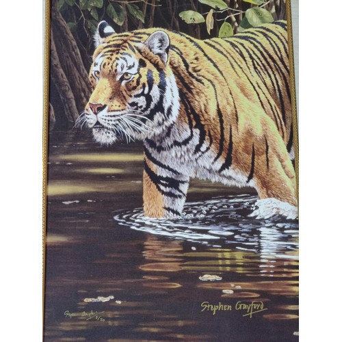 169 - A framed and mounted print of a tiger titled 