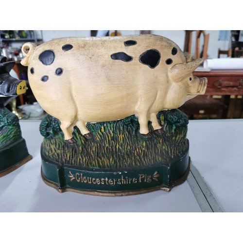 131 - 2x large cast iron pig formed door stops inc Gloucestershire pig and a Saddleback pig. height of 22c... 