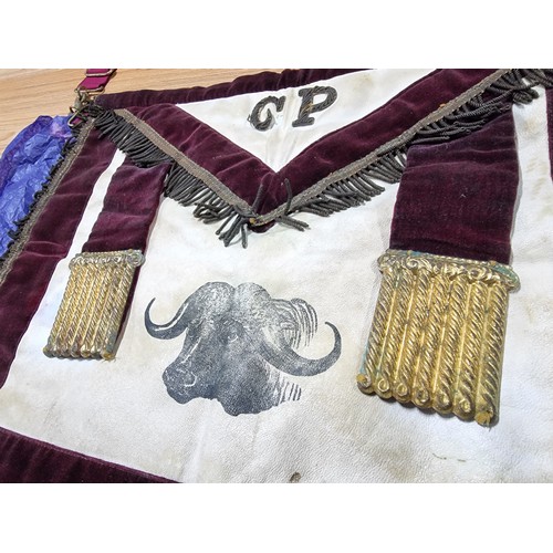 204 - A vintage R.A.O.B (Royal Antediluvian Order Of Buffaloes) dress apron.