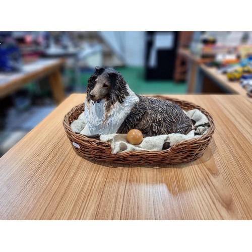 36 - A well done figure of a Rough/Shetland collie dog with his wooden ball, sitting in a basket by Sandi... 