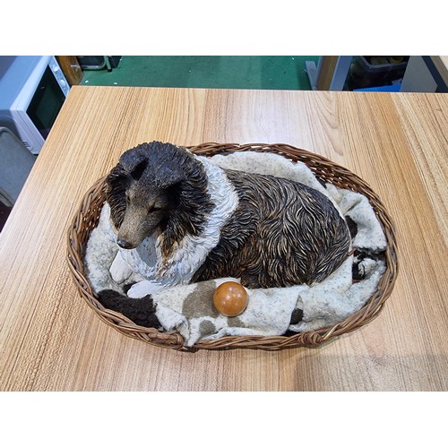 36 - A well done figure of a Rough/Shetland collie dog with his wooden ball, sitting in a basket by Sandi... 