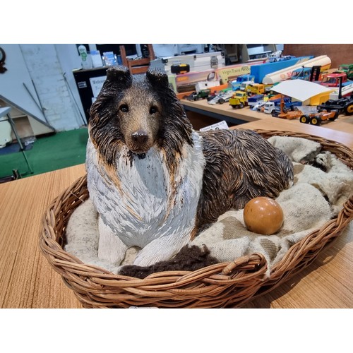 36 - A well done figure of a Rough/Shetland collie dog with his wooden ball, sitting in a basket by Sandi... 