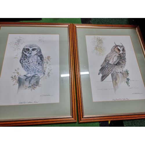 84 - A quantity of 9x framed artworks all relating to Owls and birds to include 4 original oil on boards ... 