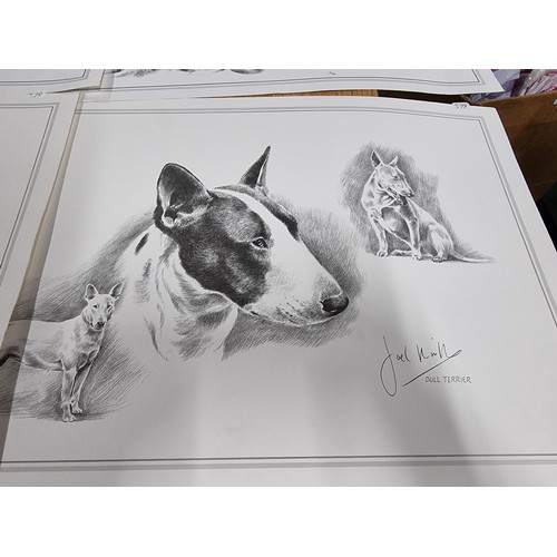 325 - A quantity of 5x prints of sketches of various dogs by Joel Kirk. To include Staffordshire bull terr... 