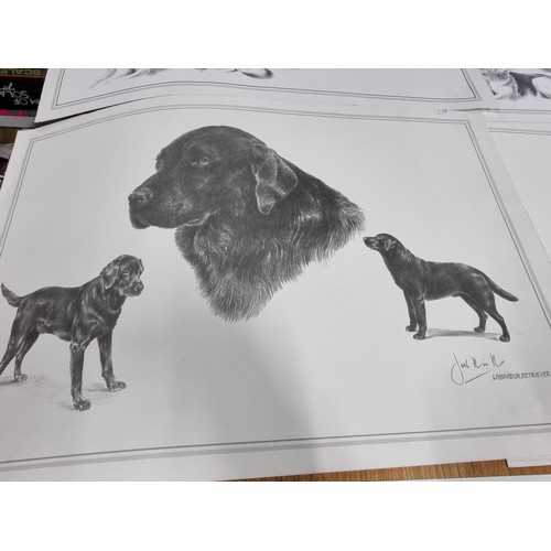 325 - A quantity of 5x prints of sketches of various dogs by Joel Kirk. To include Staffordshire bull terr... 