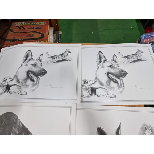 325 - A quantity of 5x prints of sketches of various dogs by Joel Kirk. To include Staffordshire bull terr... 