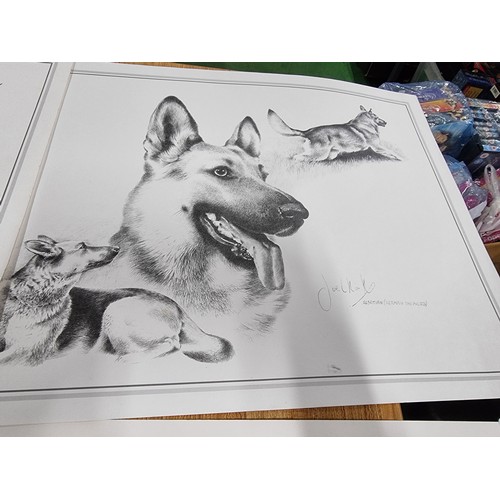 325 - A quantity of 5x prints of sketches of various dogs by Joel Kirk. To include Staffordshire bull terr... 