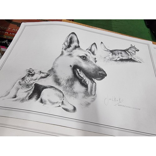 325 - A quantity of 5x prints of sketches of various dogs by Joel Kirk. To include Staffordshire bull terr... 