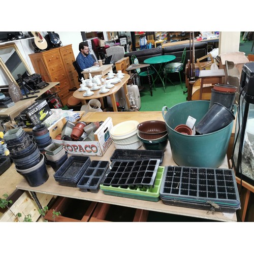 240 - Large quantity of plastic plant pots inc trug of plant pots, box of pots and bag of pots.