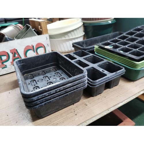 240 - Large quantity of plastic plant pots inc trug of plant pots, box of pots and bag of pots.