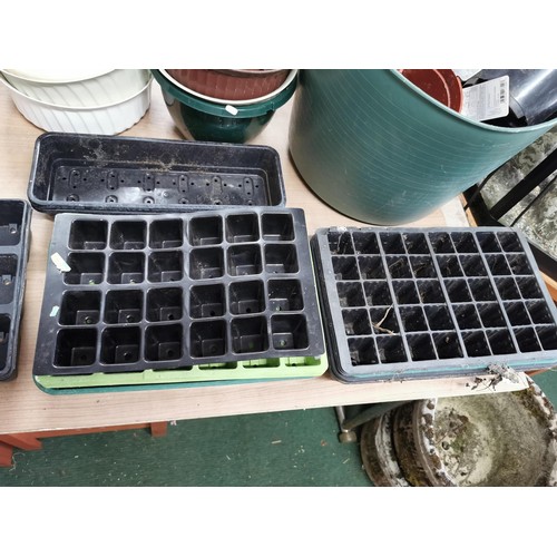 240 - Large quantity of plastic plant pots inc trug of plant pots, box of pots and bag of pots.