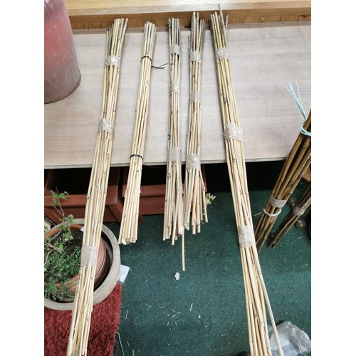 252 - Large quantity of bamboo stakes measuring 220cm high along with a tall terracotta planter in good or... 