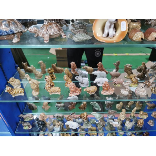 309 - Large collection of over 40x Wade whimsy's inc some very early models inc camels, dogs, goat, etc