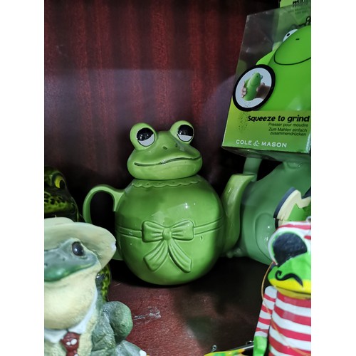 312 - Large quantity of frog related items inc soft toys, shower radio, picture frames, Kermit the frog so... 