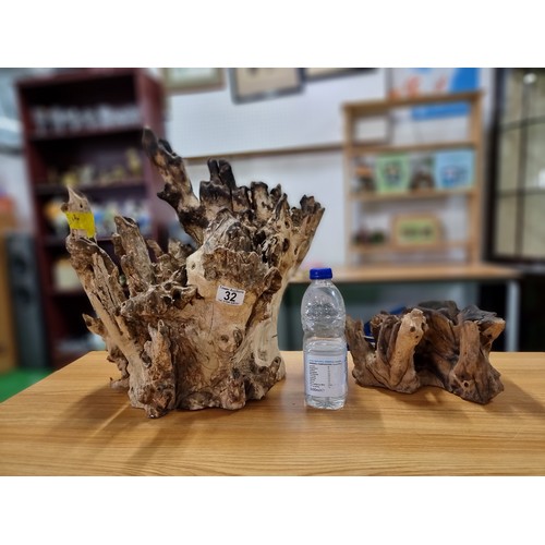 32 - 2 large root wood ornaments with an impressive natural root design, largest one has a height of 43cm... 