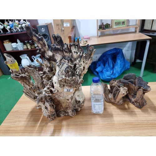 32 - 2 large root wood ornaments with an impressive natural root design, largest one has a height of 43cm... 