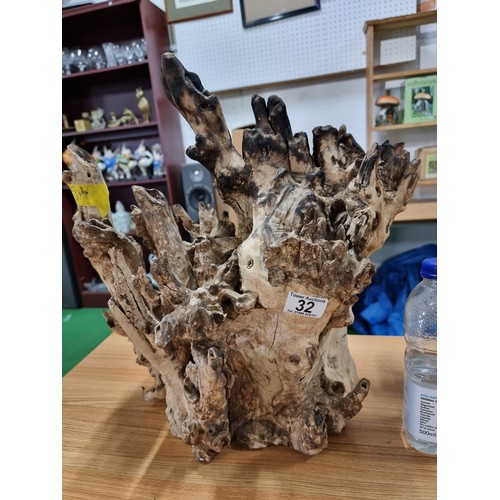 32 - 2 large root wood ornaments with an impressive natural root design, largest one has a height of 43cm... 