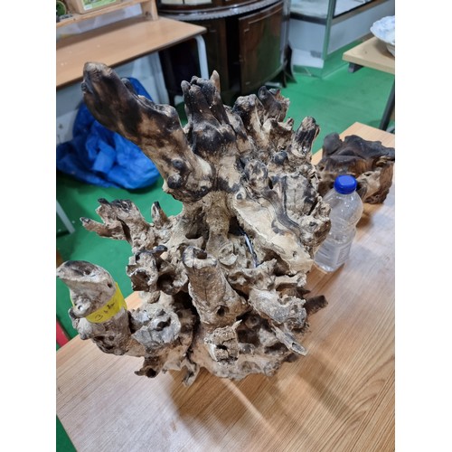 32 - 2 large root wood ornaments with an impressive natural root design, largest one has a height of 43cm... 