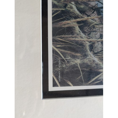 88 - A pair of Terrance Lambert Prints. One is a limited edition 127/400 ring neck pheasants along with a... 