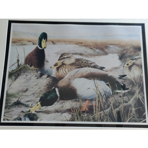 88 - A pair of Terrance Lambert Prints. One is a limited edition 127/400 ring neck pheasants along with a... 