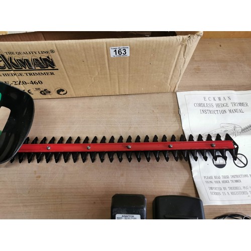 163 - Eckman cordless hedge trimmer complete with battery and charger 19in