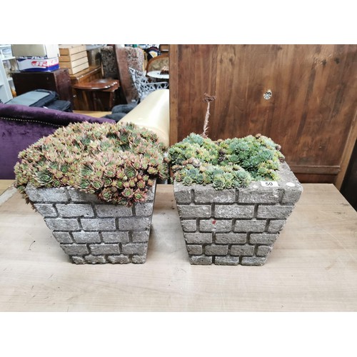 50 - 2x 1970's brick design concrete planters containing succulents ready to go straight in the garden he... 