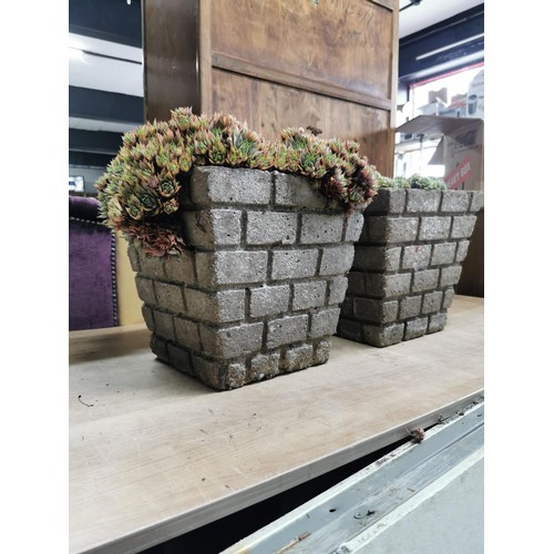 50 - 2x 1970's brick design concrete planters containing succulents ready to go straight in the garden he... 