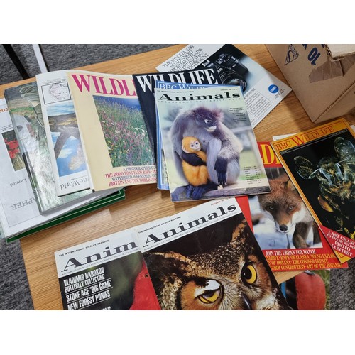 212 - 5x box files all full of BBC Wildlife magazines dating from the 1980's and 1990's, over 80 magazines... 