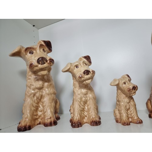 135D - A rare vintage set of graduated dogs by Sylvac to include a set of 3 graduated brown terrier dogs, a... 