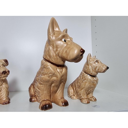 135D - A rare vintage set of graduated dogs by Sylvac to include a set of 3 graduated brown terrier dogs, a... 