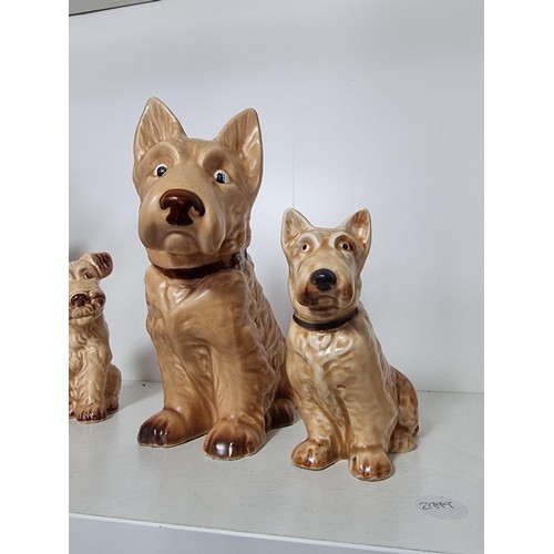 135D - A rare vintage set of graduated dogs by Sylvac to include a set of 3 graduated brown terrier dogs, a... 