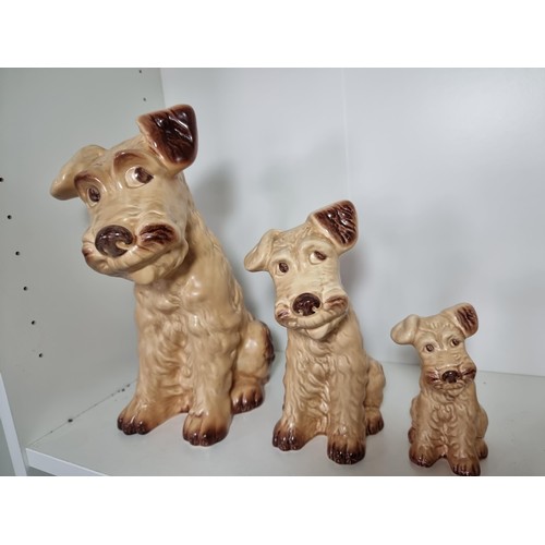 135D - A rare vintage set of graduated dogs by Sylvac to include a set of 3 graduated brown terrier dogs, a... 