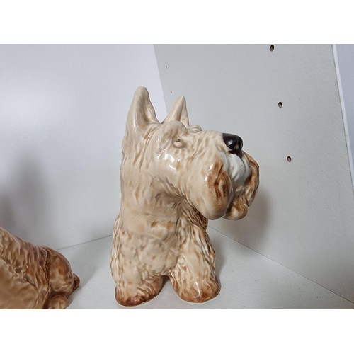 135D - A rare vintage set of graduated dogs by Sylvac to include a set of 3 graduated brown terrier dogs, a... 