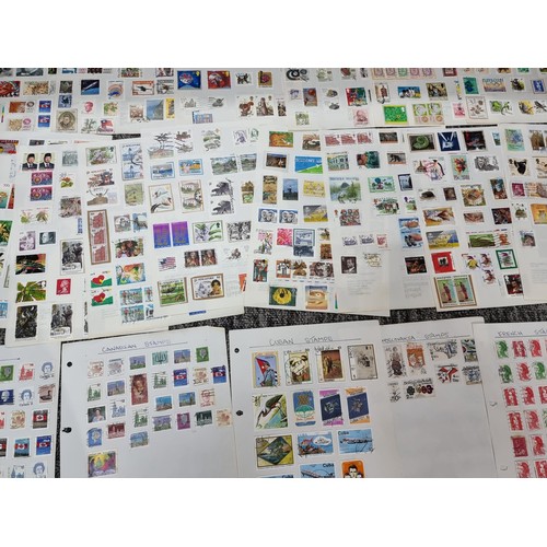 249 - A very large quantity of organised stamps all on pieces of card, containing stamps from around the w... 