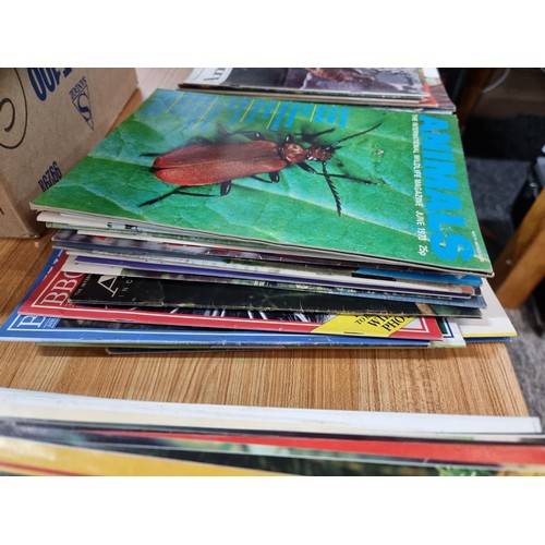 274 - A large stack of various Wildlife magazines ranging from the 1960's to the 1980's. To include BBC Wi... 