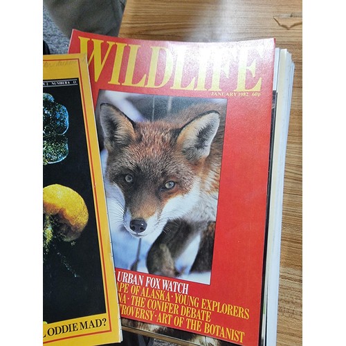 274 - A large stack of various Wildlife magazines ranging from the 1960's to the 1980's. To include BBC Wi... 