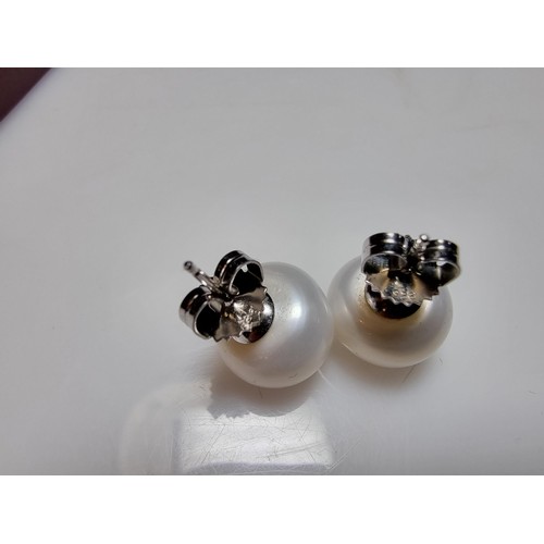 333 - A pair of large genuine pearl 925 silver stud earrings in as new condition, never had any use. diame... 