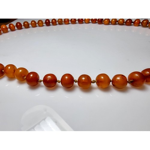 351 - A large vintage genuine egg yolk amber hand knotted beaded necklace, featuring graduated amber beads... 