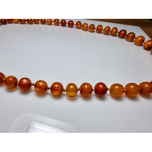 351 - A large vintage genuine egg yolk amber hand knotted beaded necklace, featuring graduated amber beads... 