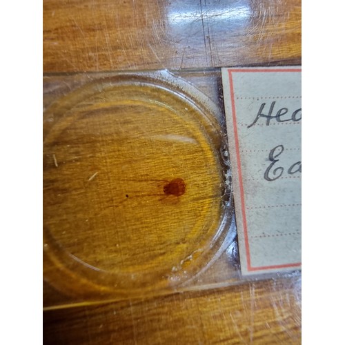 243 - A good quality cased microscope by A.Franks Manchester and Hull along with a large quantity of speci... 