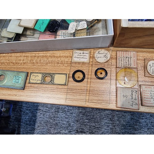 243 - A good quality cased microscope by A.Franks Manchester and Hull along with a large quantity of speci... 