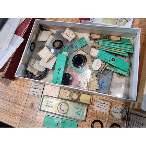 243 - A good quality cased microscope by A.Franks Manchester and Hull along with a large quantity of speci... 