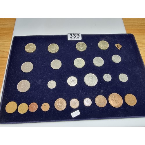 Lot 339       
