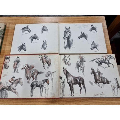 245 - 4x rare first edition equine books by C.W.Anderson. Covering thoroughbreds, anatomy of horses, etc, ... 