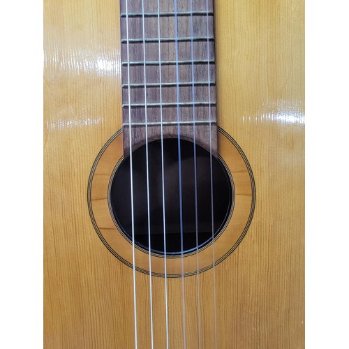 216 - A full size classical guitar in gig bag, in good condition.