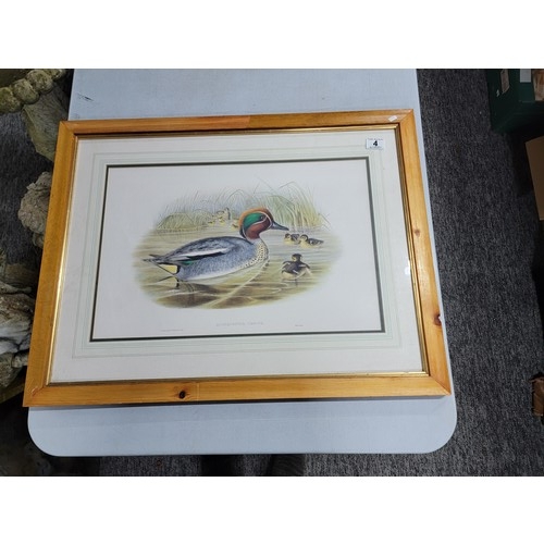 4 - Framed and glazed print of a Teal with chicks by Walter IMP in good order picture measures height 57... 